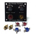DUAL AIR GAUGE - FILL VALVE ASSEMBLY