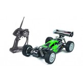 SPECTER TWO BRUSHLESS 1:8 RTR, Carson