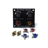 DUAL AIR GAUGE - FILL VALVE ASSEMBLY