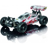 NINJA X10 4WD 1:10 RTR, Carson