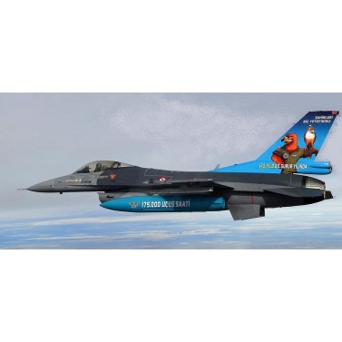 F-16 1:5, Fly Eagle Jet