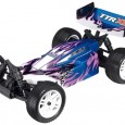 SPARROWHAWK XB 1:10 4WD RTR, Thunder Tiger